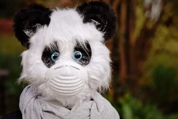 Thunderbolt Casino Tugi